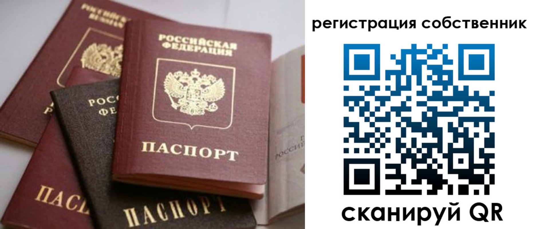 временная регистрация поиск в Фролово